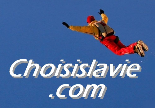 ChoisislaVie.com